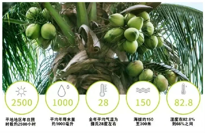 微信截图_20240923104818.png