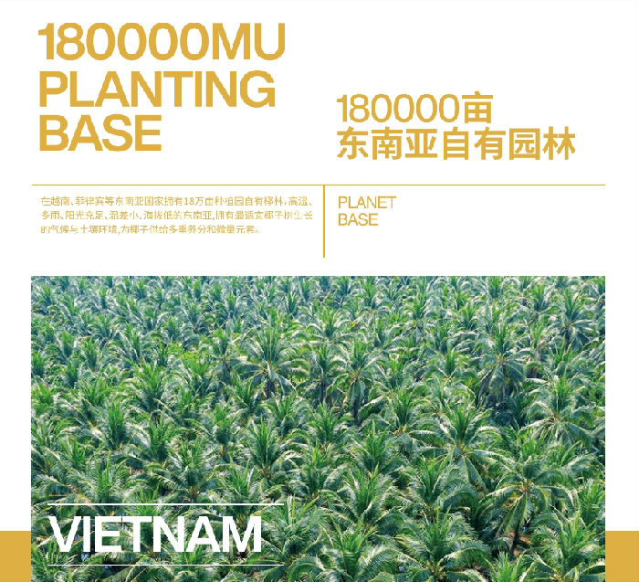 椰林.png